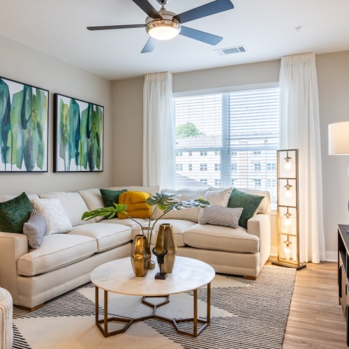 Living Room well-furnished living in a Bainbridge Cary apartment home